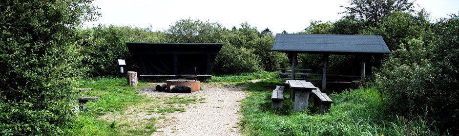 Shelter i Uldum Kær