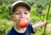 Glad dreng med æble i munden