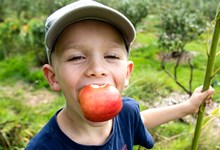 Glad dreng med æble i munden