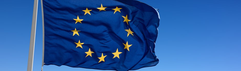 Europa-parlaments flag