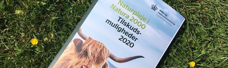 Bogen Naturpleje i Natura 2000 - Tilskudsmuligheder 2020