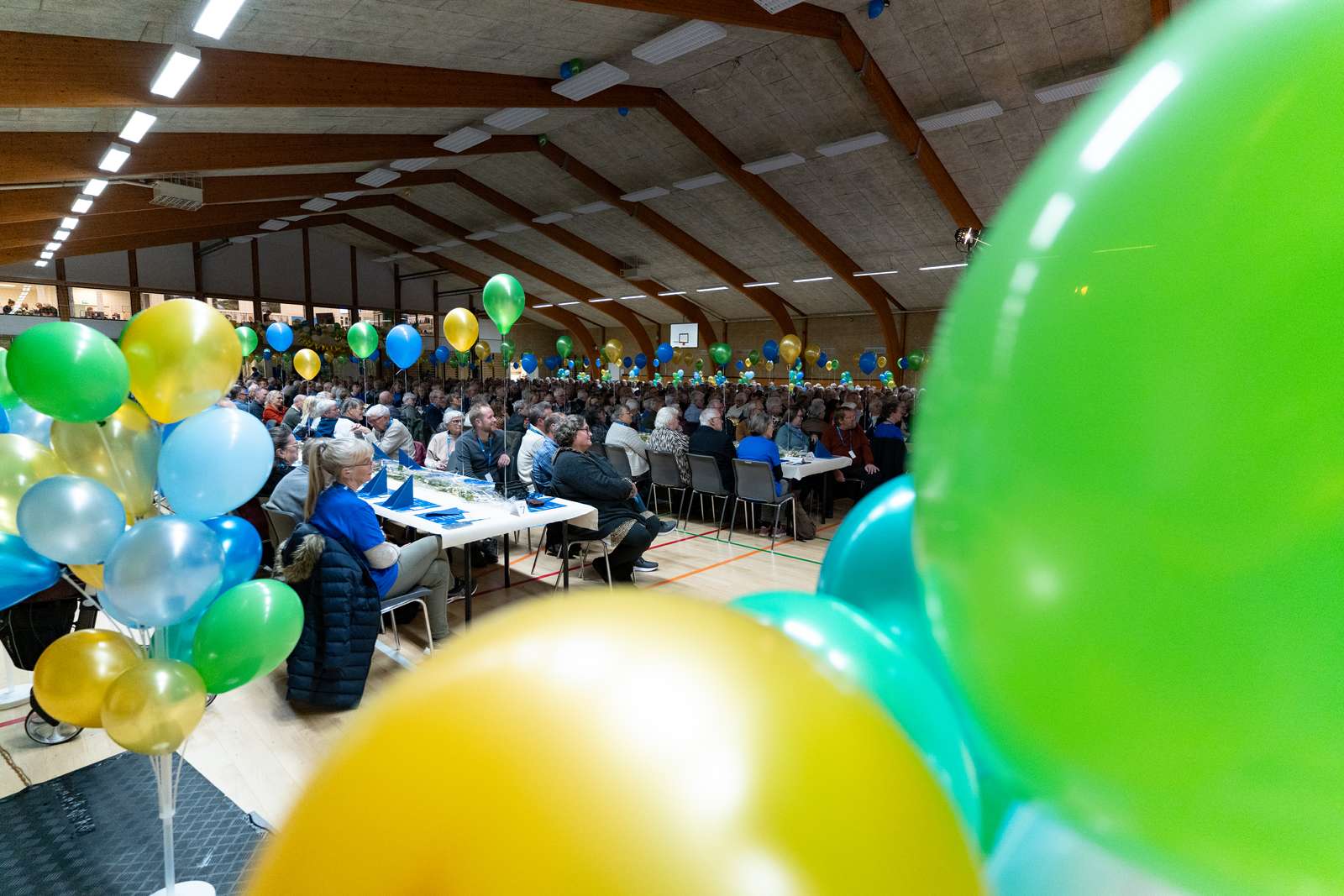 Frivillighedsfest 2024