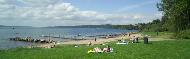 Badning ved Daugård Strand