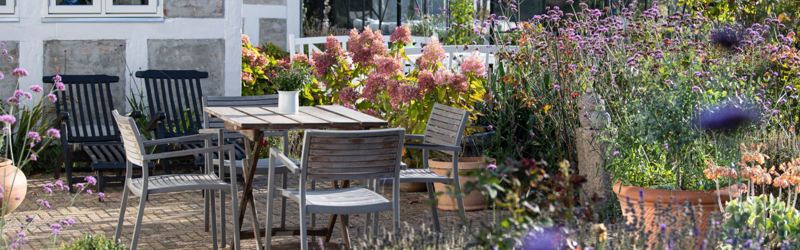 Vild blomstrende gårdhave