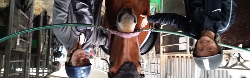 Piger i en stald med en hest