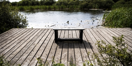 Bænk på en bro med udsigt over en sø