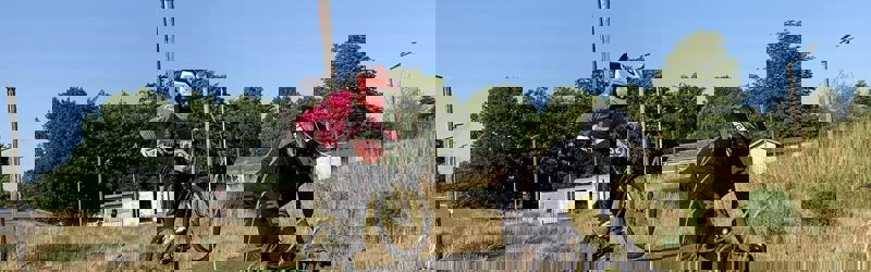 Børn der kører BMX