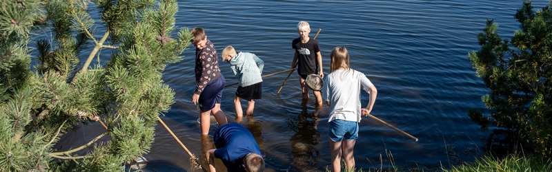 Børn med net fanger vanddyr