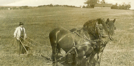 Bonde der pløjer mark med hestespand
