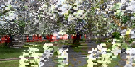 Bindingsværkshus på museum