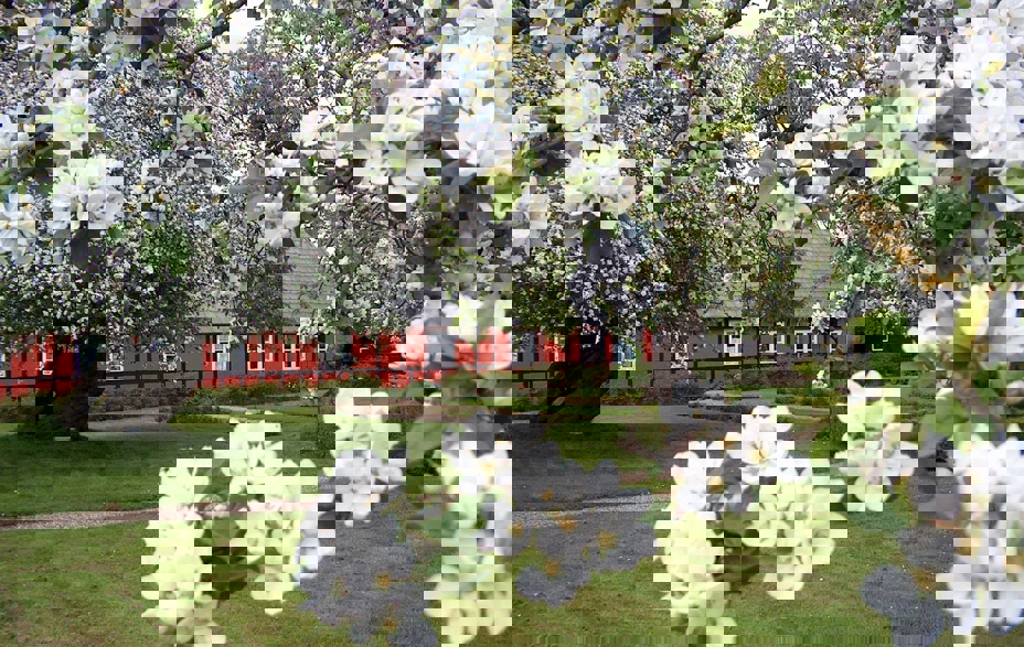 Bindingsværkshus på museum