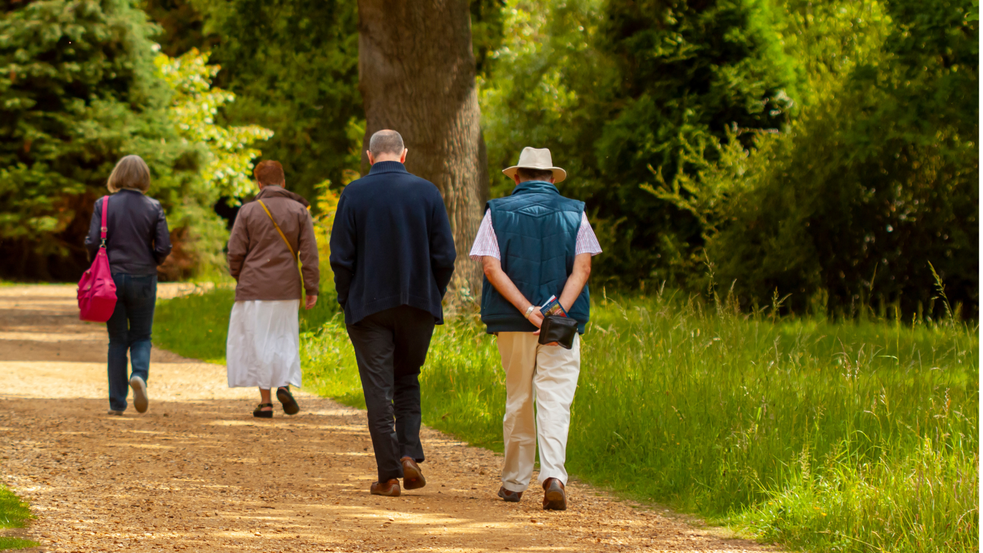 Fire personer går tur i skoven