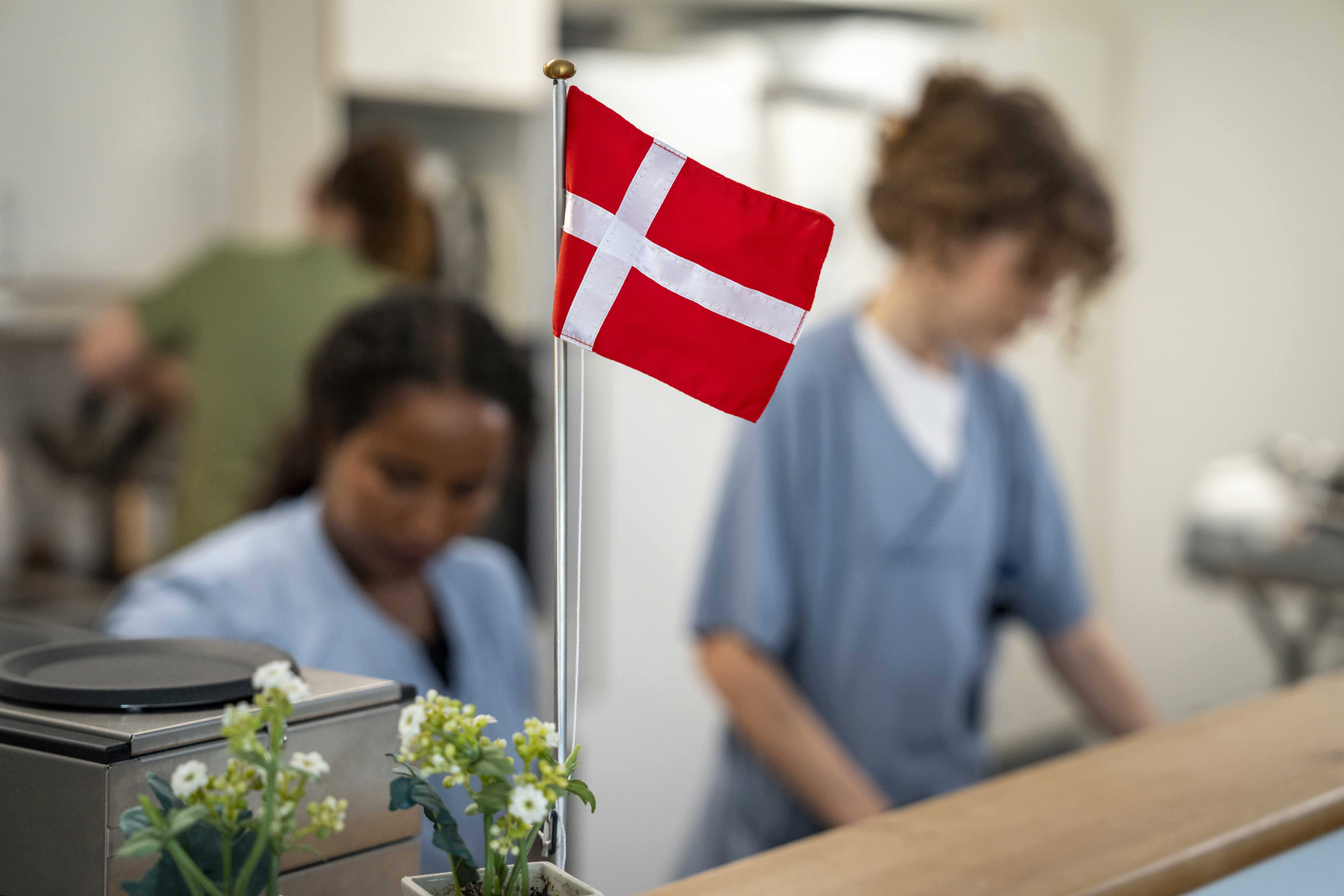 Dannebrog i køkkenet på Bøgely Plejehjem