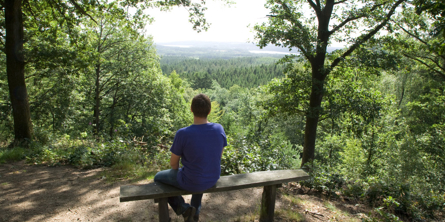Mand på bænk med udsigt over skoven