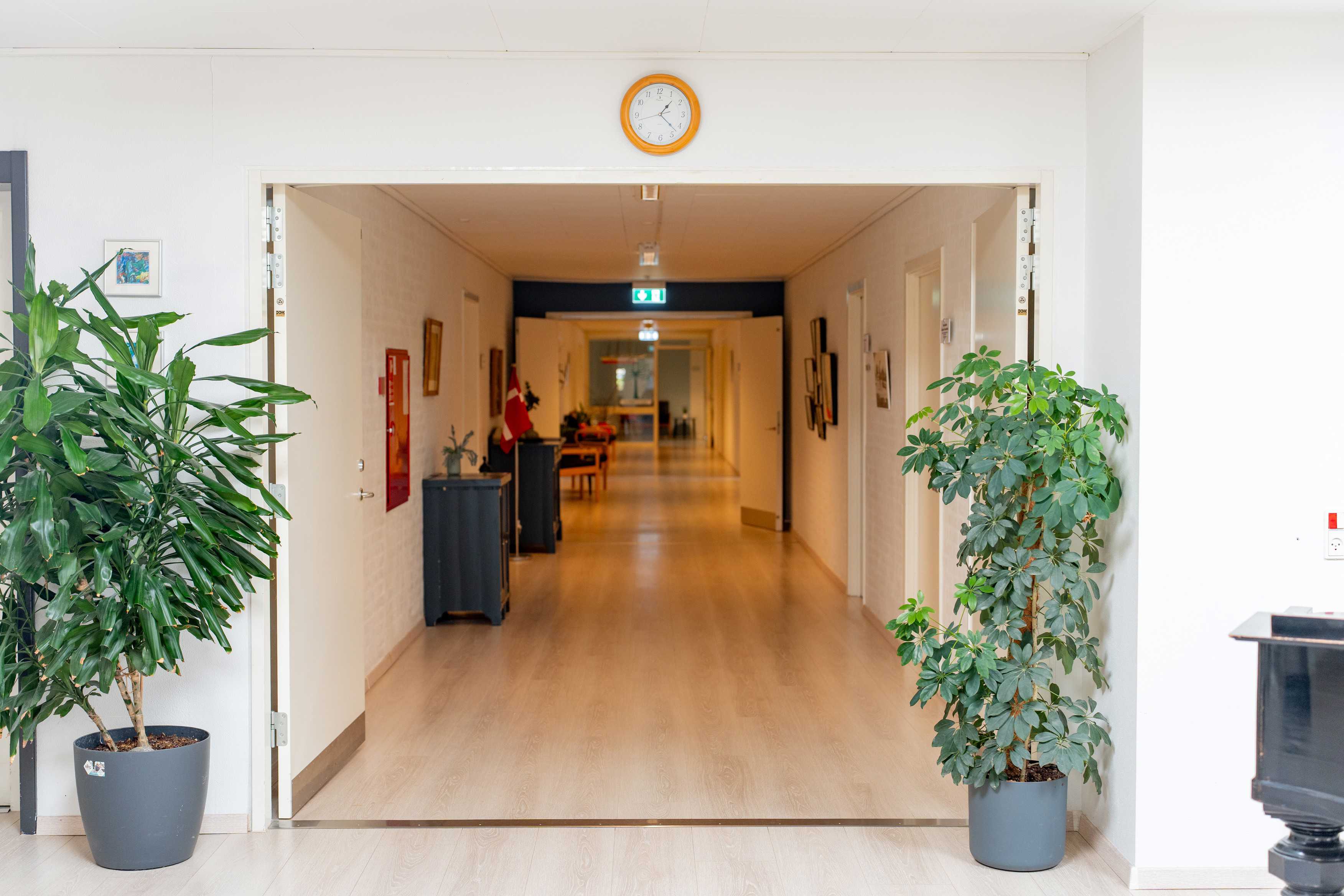 Birkelund Plejehjem. Gangareal