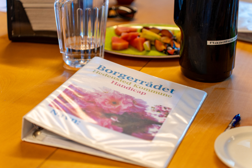 Borgerrådet Voksenhandicap 2026