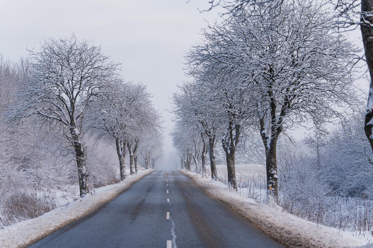 Vej gennem snelandskab